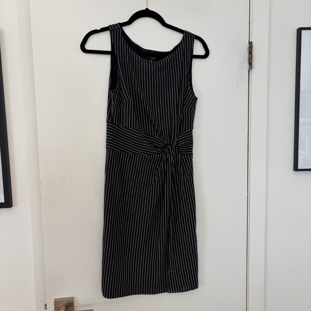 Ann Taylor Navy Knotted Striped Dress